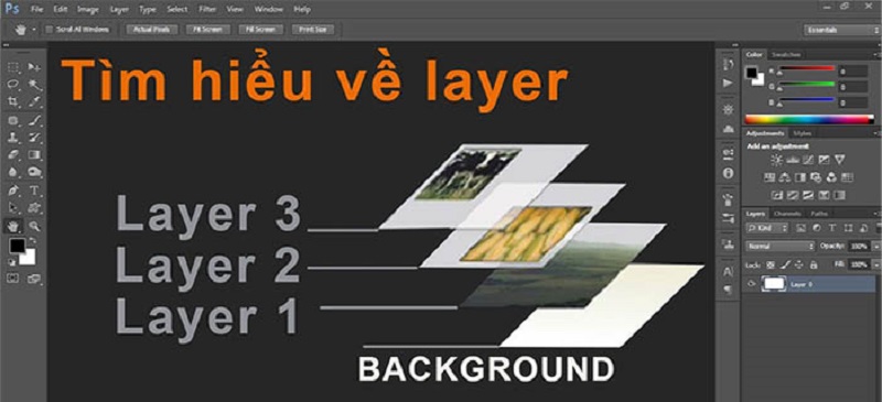 Layer trong photoshop