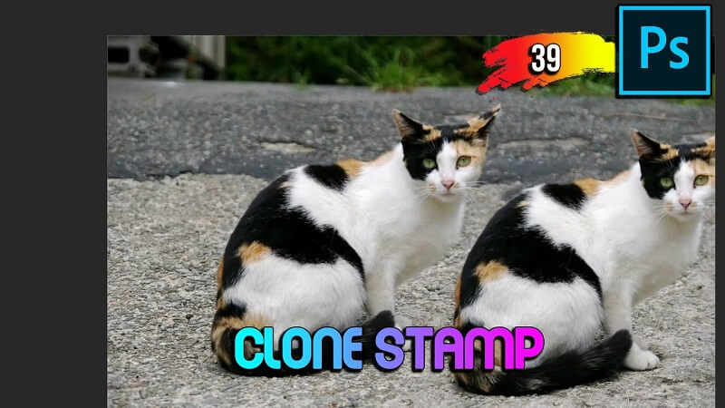 Nhân bản Clone Stamp Tool