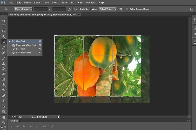 Thay đổi kích thước ảnh trong photoshop Crop Tool